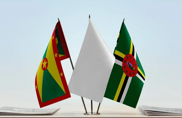 Grenada Antigua White Flags Stand Papers — Stock Photo, Image