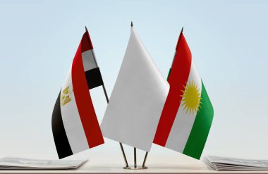 Mısır, Kürdistan ve beyaz bayraklar masada gazeteler