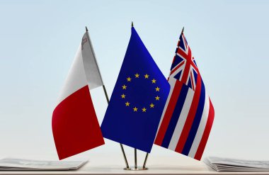 Malta Havai ve eu bayrakları kağıtlarla ayakta