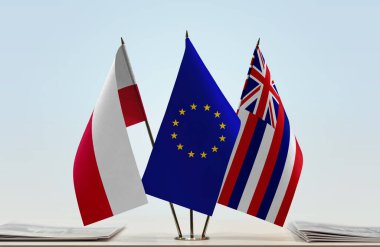 Polonya Hawaii ve eu bayrakları kağıtlarla ayakta