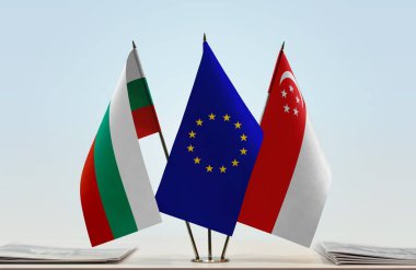 Bulgaristan ve Singapur 'un bayrakları belgelerle beklemede  