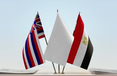 Hawaii ve Mısır bayrakları tezgahta.   