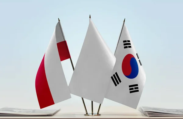 Güney Kore Polonya Belgelerle Ayakta Duruyor — Stok fotoğraf