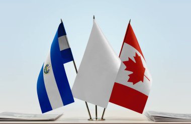 Falkland Adaları ve beyaz bayraklar kağıtlarla ayakta  