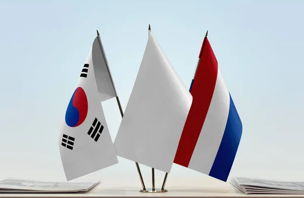 Güney Kore Hollanda Belgelerle Ayakta Duruyor — Stok fotoğraf