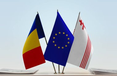 Romanya 'daki partiyum ve eu bayrağı belgelerle ayakta