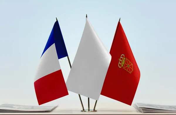 法国纳瓦拉国旗站在那里 上面有文件 — 图库照片