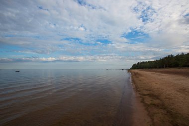 Baltık Denizi, Finlandiya Körfezi. Kum plaj ve dramatik gökyüzü yaz manzarasının