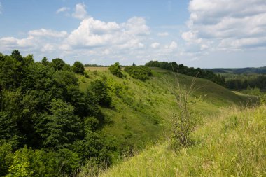Yaz Peyzaj doğal görünümü - hills, orman, yeşil ve Rusya'da çayır çimen