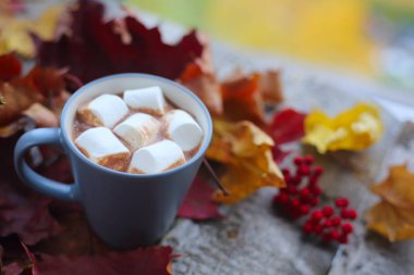 Sonbaharda akçaağaç yaprakları ve kakao ile marshmellows ahşap masa üzerinde bir fincan kurutulmuş