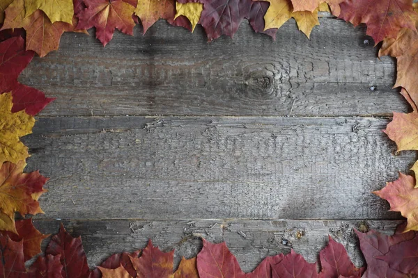 Feuilles Érable Automne Cadre Sur Fond Bois Avec Espace Copie — Photo