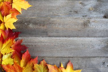 Sonbahar akçaağaç yaprakları çerçevesinin üzerine ahşap arka plan kopya alanı ile