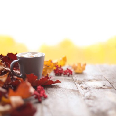 Sonbaharda akçaağaç yaprakları ve kakao ile marshmellows ahşap masa üzerinde bir fincan kurutulmuş