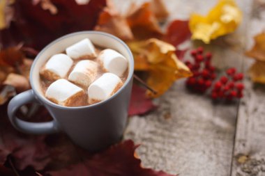 Sonbaharda akçaağaç yaprakları ve kakao ile marshmellows ahşap masa üzerinde bir fincan kurutulmuş