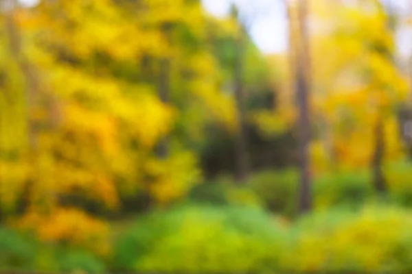 Осенний Лесной Пейзаж Золотой Листвой Абстрактном Фоне Деревьев — стоковое фото