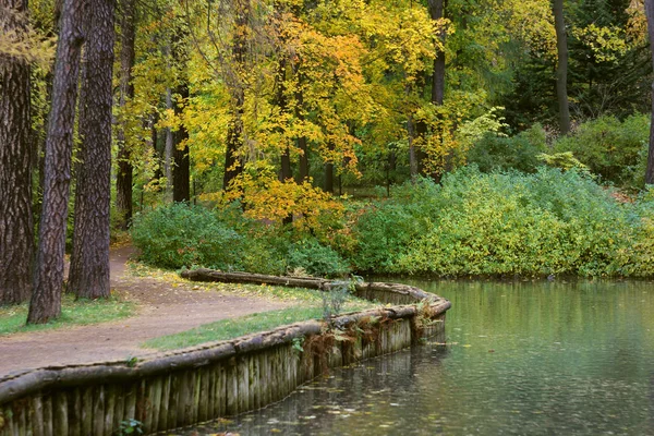 Autumn Forest Scenery Trees Pond Fallen Gold Foliage Footpath — Stock Photo, Image