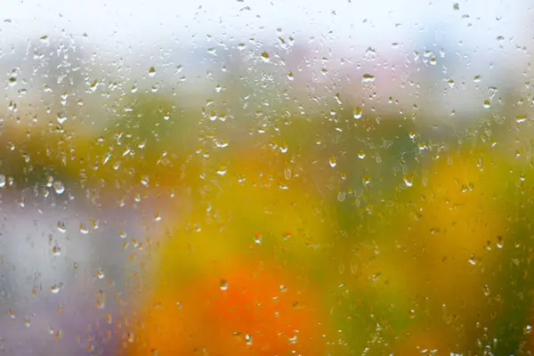 Gocce Pioggia Vetro Della Finestra Alberi Autunnali Colorati Sfondo — Foto Stock