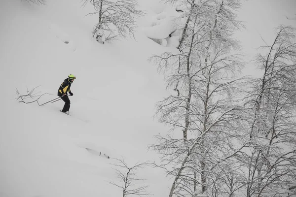 Freeride skier on the slope of wild hill forest in winter lapland