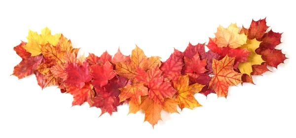 Isoliert Herbst Blätter Rand Rahmen Streifen Isoliert Auf Weißem Design — Stockfoto