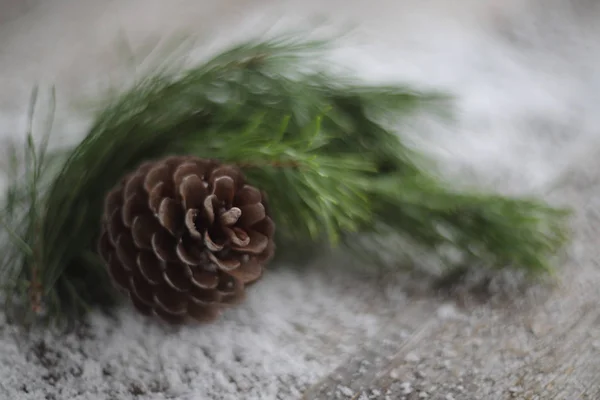 Χριστουγεννιάτικη Κάρτα Κουκουνάρι Και Υποκατάστημα Ξύλινα Φόντο Χιόνι Προβολή Αντίγραφο — Φωτογραφία Αρχείου