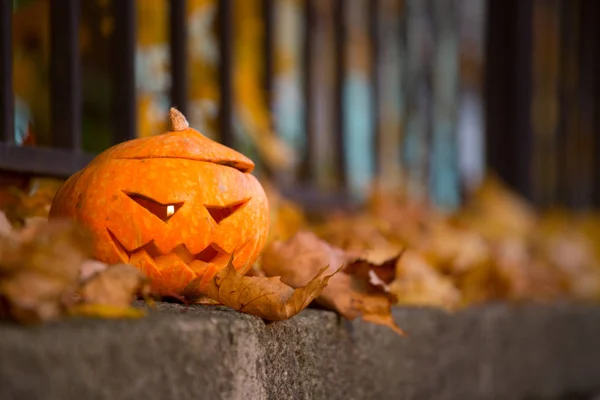 Abóbora Halloween Livre Parque Outono Espaço Cópia Para Texto — Fotografia de Stock