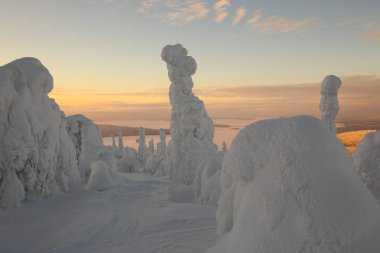 Günbatımında Finlandiya 'da orman ve göl manzarası.