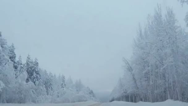 Sneeuwweg Omgeven Door Dennenbomen Sneeuw Lapland — Stockvideo