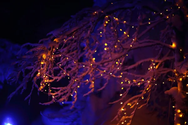 Luces Mágicas Brillantes Coloridas Bosque Nieve Invierno Navidad —  Fotos de Stock