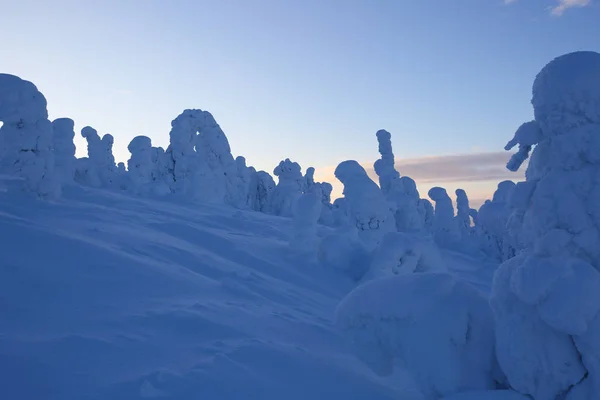 Conto Fadas Bela Paisagem Inverno Com Montanha Floresta Inverno Ártica — Fotografia de Stock