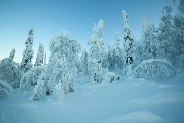Cuento Hadas Hermoso Paisaje Invierno Con Bosque Invierno Ártico Montaña — Foto de Stock