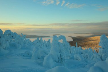 Günbatımında Finlandiya 'da orman ve göl manzarası.