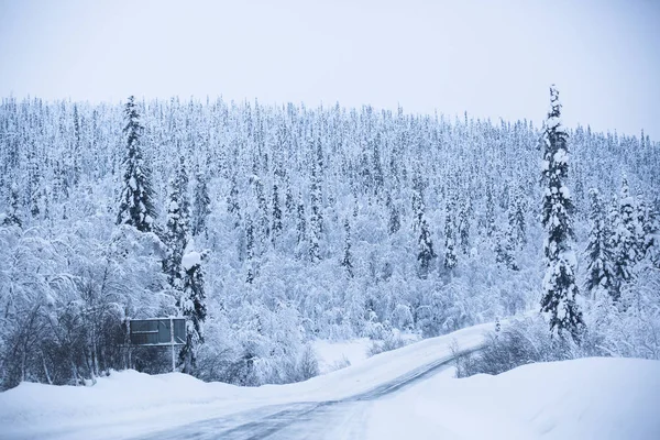 Abeto Cubierto Nieve Estación Esquí Para Freeride Laponia — Foto de Stock