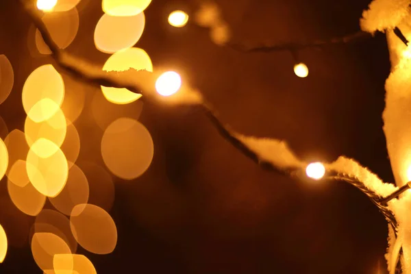 Luzes Mágicas Brilhantes Coloridas Floresta Neve Inverno Tempo Natal — Fotografia de Stock