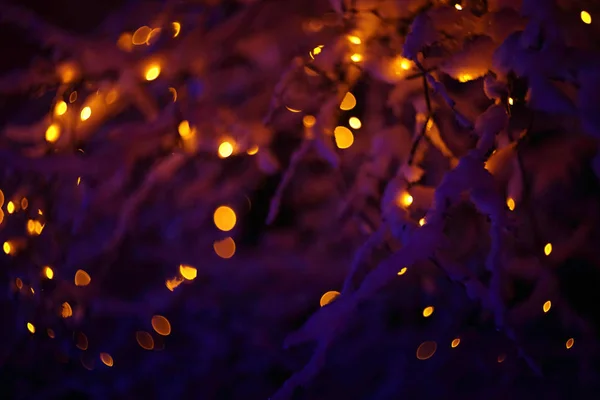 Luzes Mágicas Brilhantes Coloridas Floresta Neve Inverno Tempo Natal — Fotografia de Stock