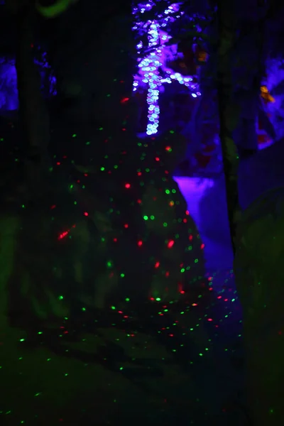 Colorful Glowing Magic Lights Winter Snow Forest Christmas Time — Stock Photo, Image