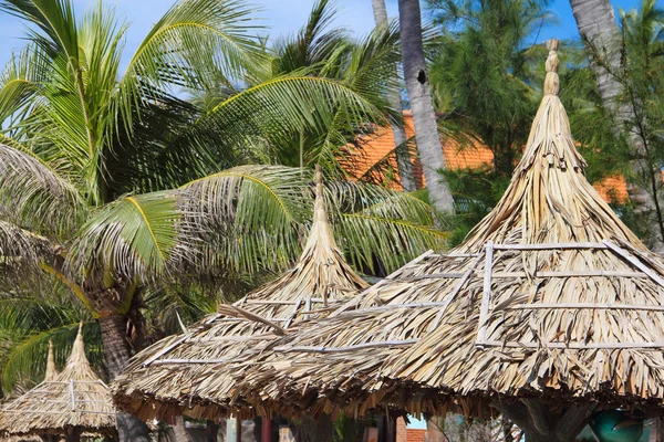 Thatch Dak Palmbomen Blauwe Hemel Achtergrond Toeristische Resort Concept — Stockfoto