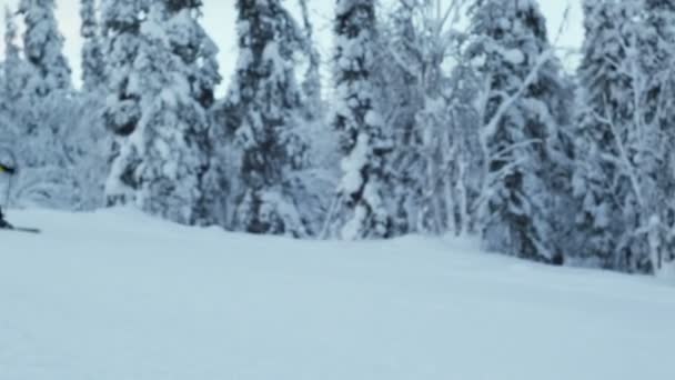 Esquiador Alpino Profesional Esquiando Cuesta Abajo Estación Polar Ártica Alomale — Vídeos de Stock