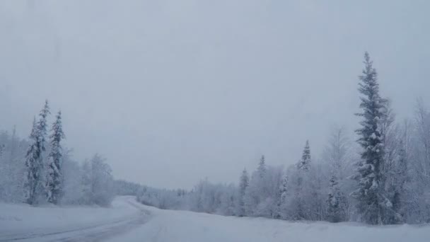 霧氷と雪に覆われた木々の間の道路の美しい風景北極圏の気候 — ストック動画