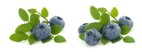 Set Piles Blueberry Berries Leaves Isolated White Background — Stock Photo, Image