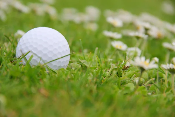 Golf ball op cursus — Stockfoto