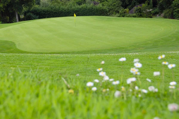 Bandeira de golfe na grama verde — Fotografia de Stock