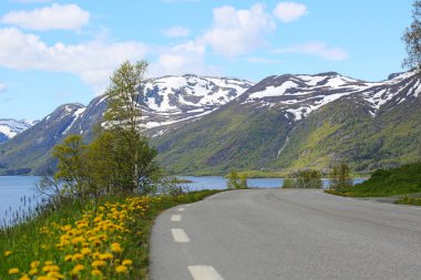 Pitoresk Norveç yol