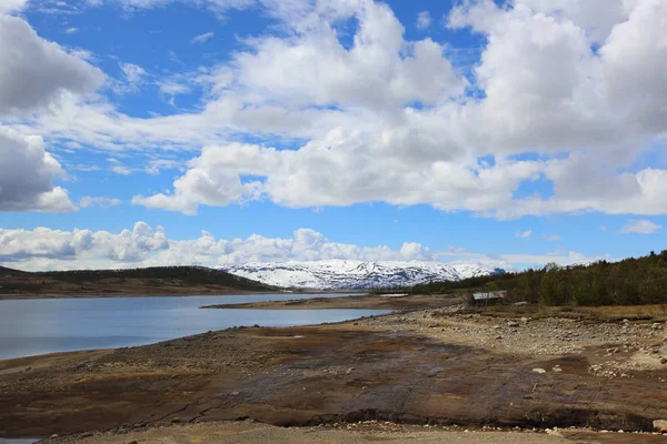 Spring arctic landscape — Stock Photo, Image