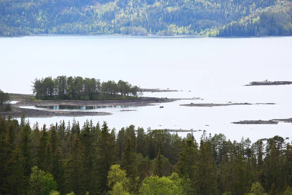 Skogen, bergen och fjorden — Stockfoto