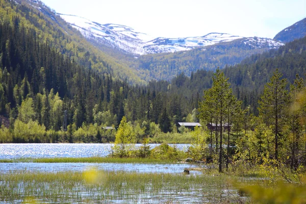 Sjön bergen i Norge — Stockfoto