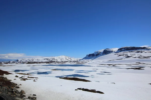 Frühlingslandschaft — Stockfoto