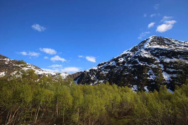 Primavera Noruega paisagem — Fotografia de Stock