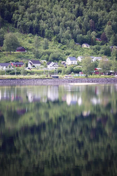 Forêt de montagne avec réflexion — Photo