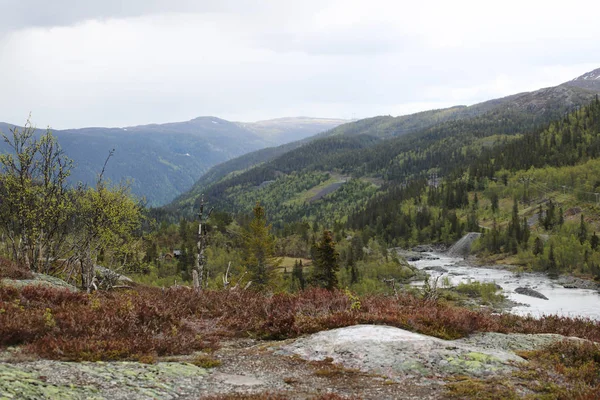 Tundra landskap i Norge — Stockfoto