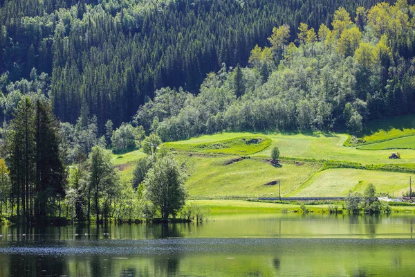 Paisagem do lago na Noruega — Fotografia de Stock